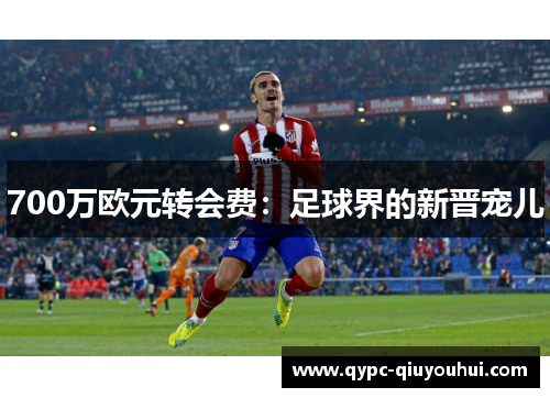 700万欧元转会费:足球界的新晋宠儿 700万欧元转会费:足球界的新晋宠儿