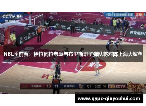 NBL季前赛：伊拉瓦拉老鹰与布里斯班子弹队将对阵上海大鲨鱼